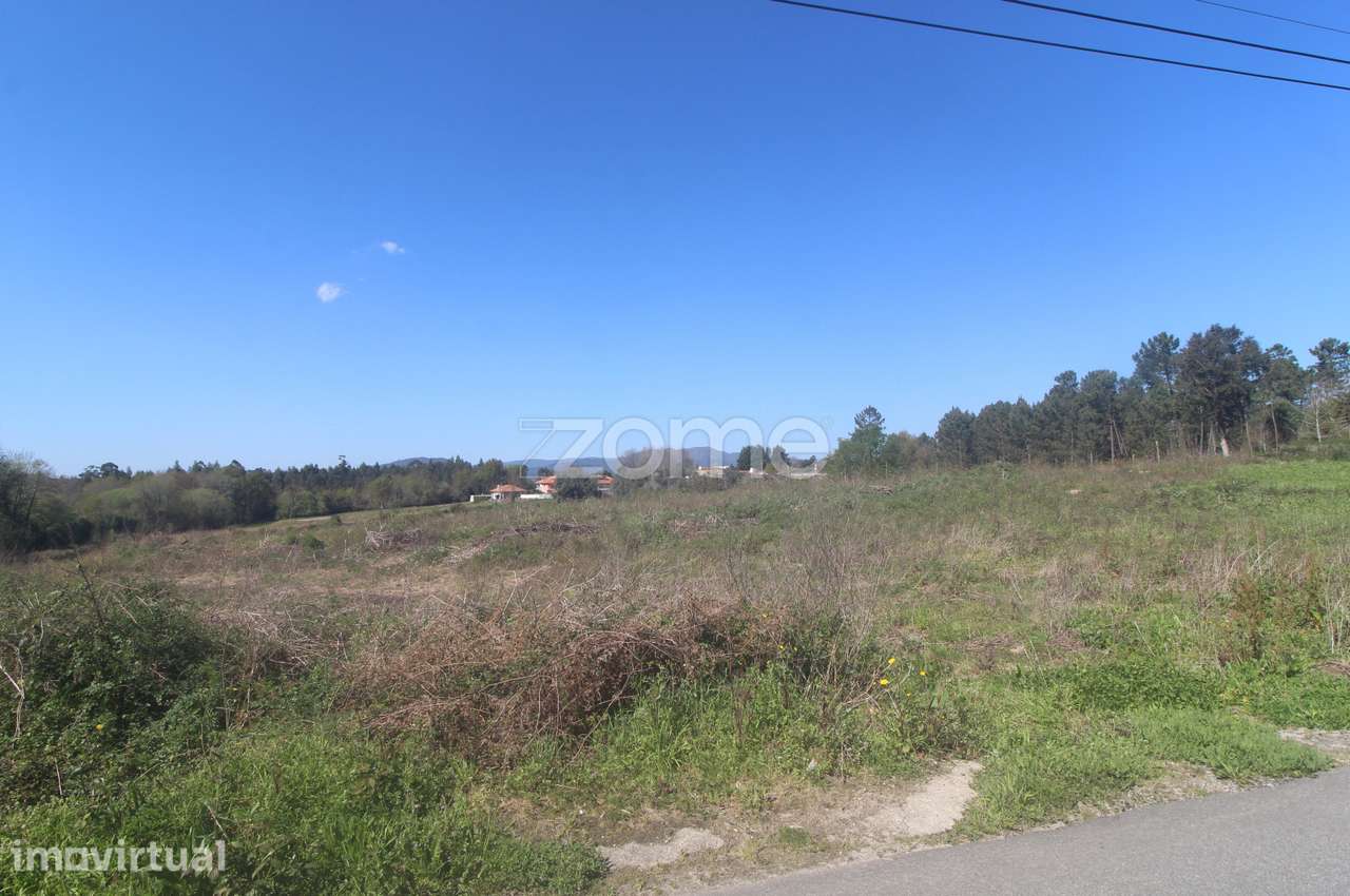 Terreno Industrial - Grande imagem: 3/16