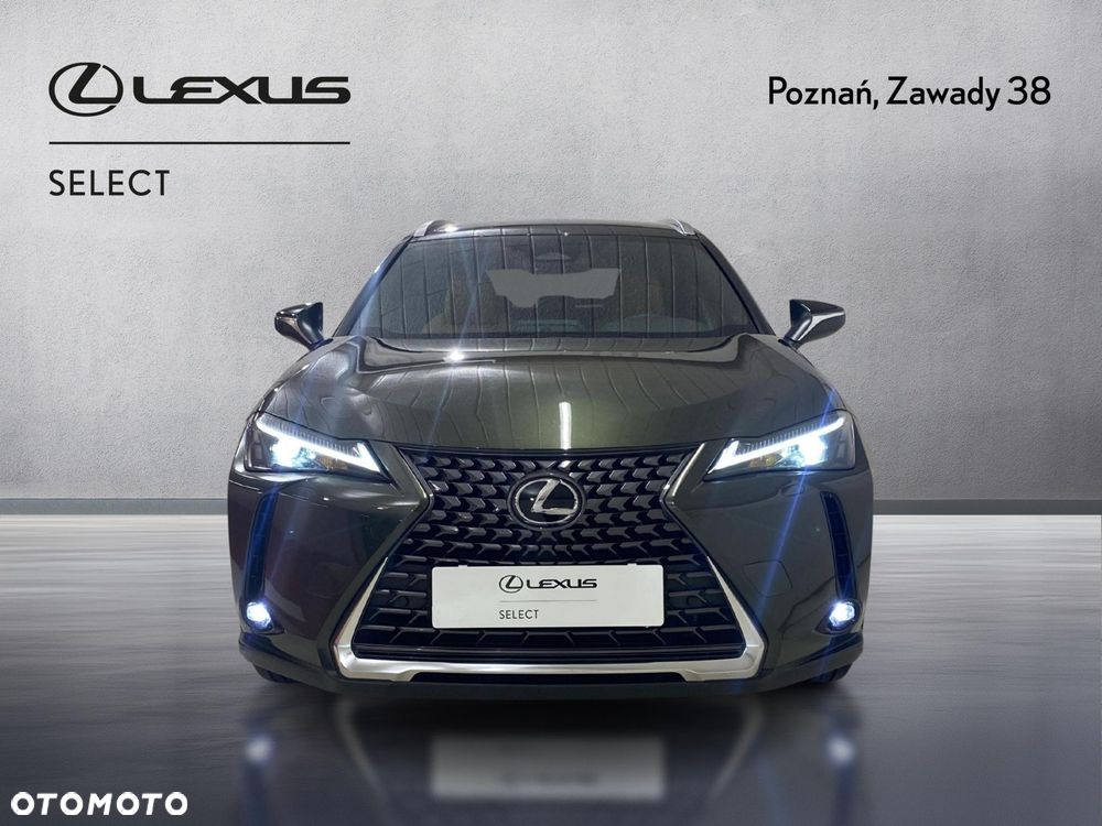 Lexus UX 300h Business - 6