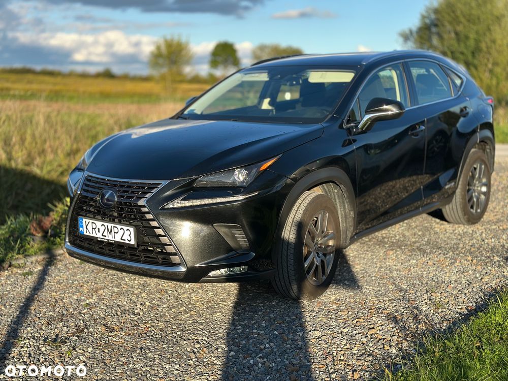 Lexus NX 300h Elegance Optimum AWD - 21