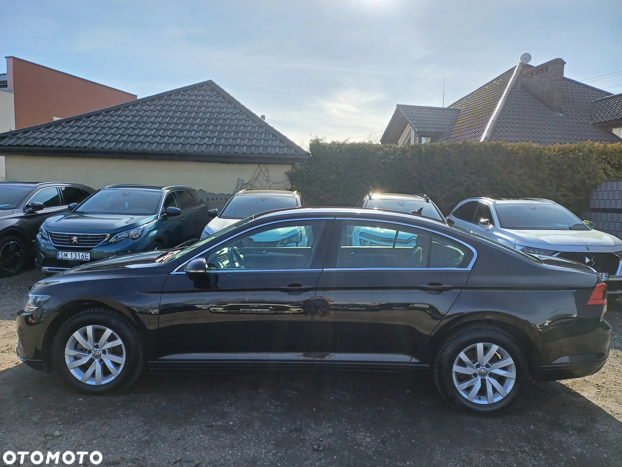 Volkswagen Passat - 3