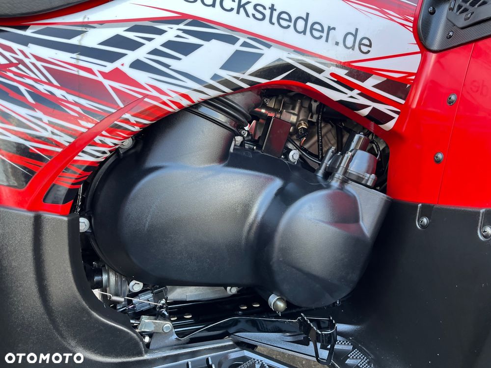 Kawasaki Brute Force - 19