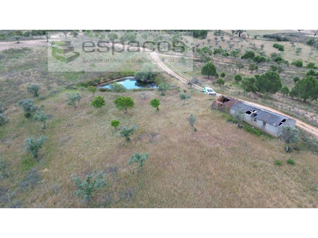 Terreno em Monte Fidalgo - Grande imagem: 5/25