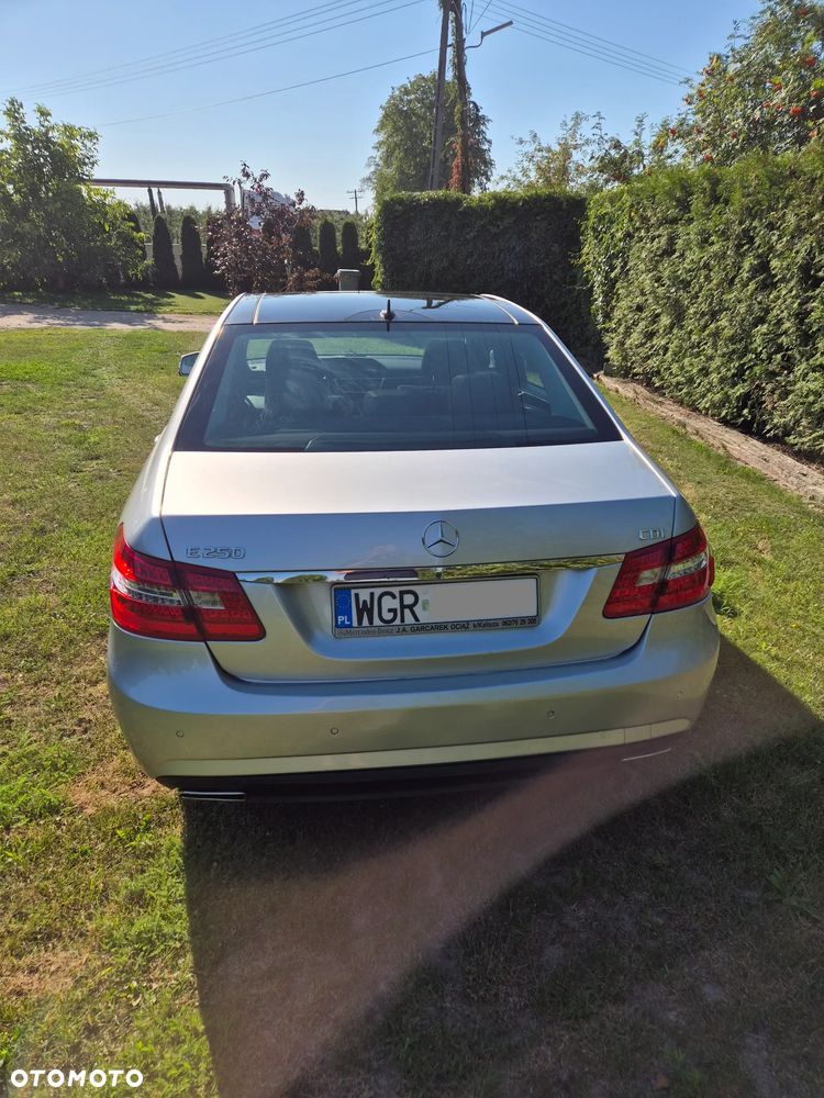 Mercedes-Benz Klasa E 250 CDI 4-Matic BlueEff Avantgarde - 3