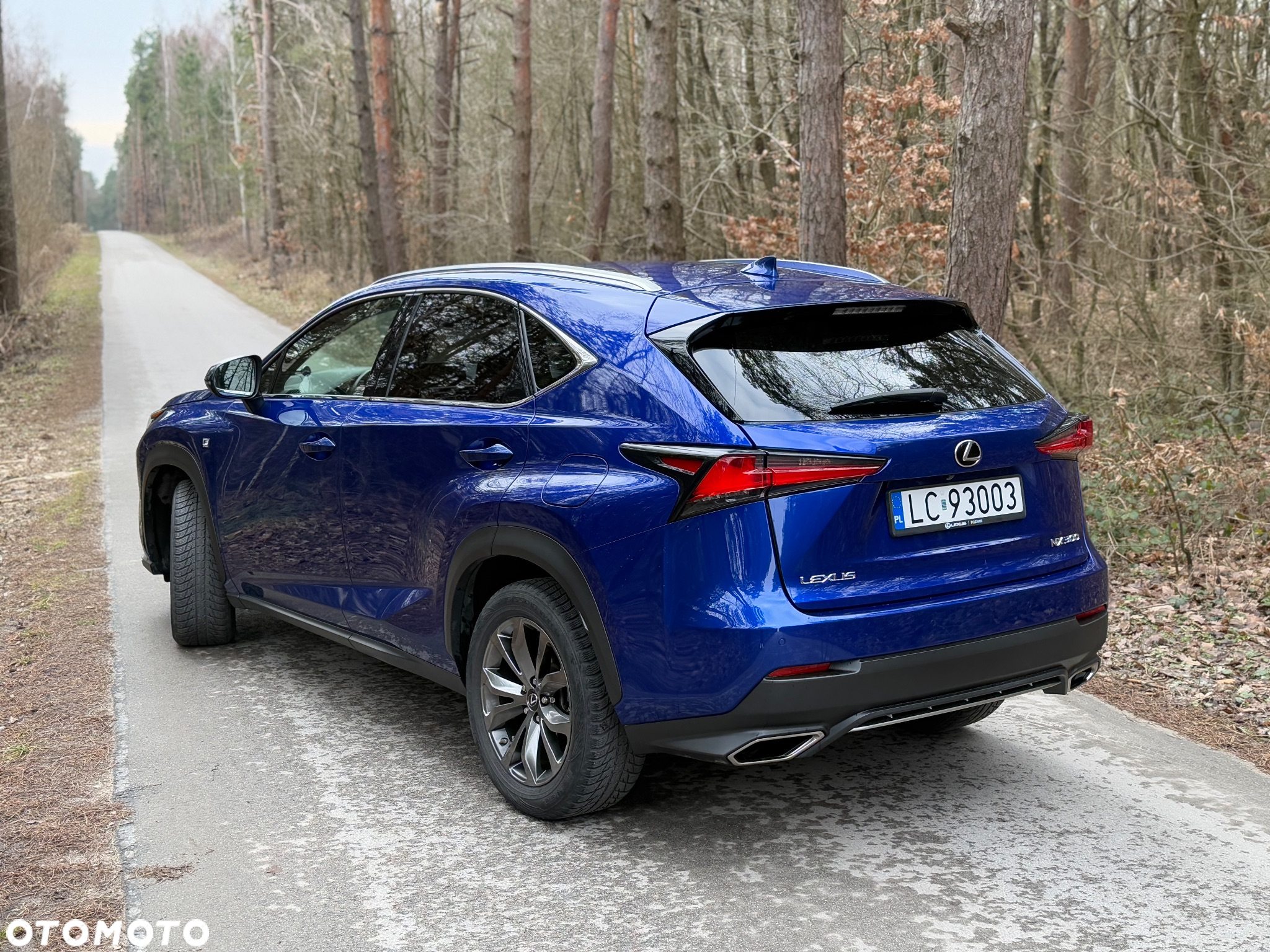 Lexus NX 300 F Sport AWD - 2