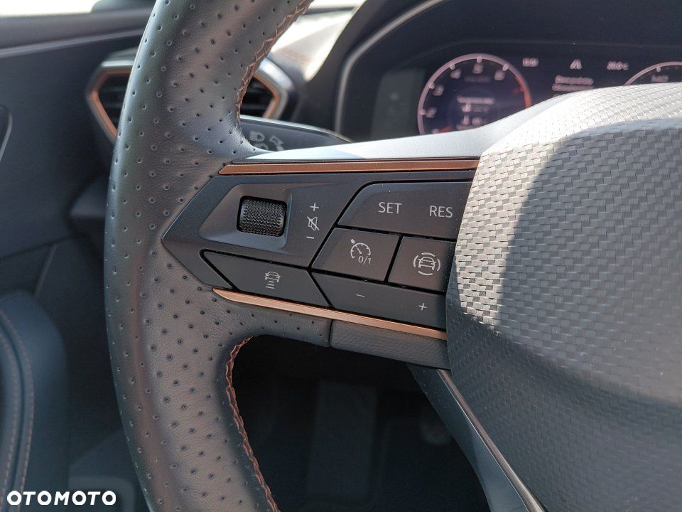 Cupra Formentor - 18