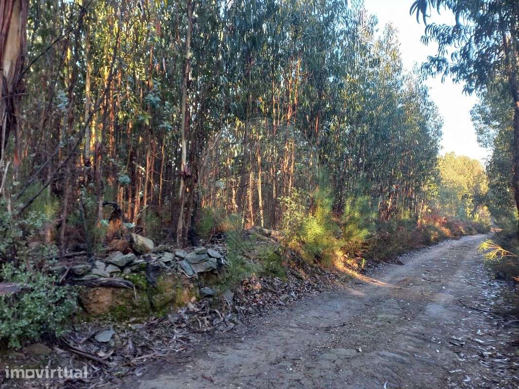 Terreno  para venda - Grande imagem: 3/4