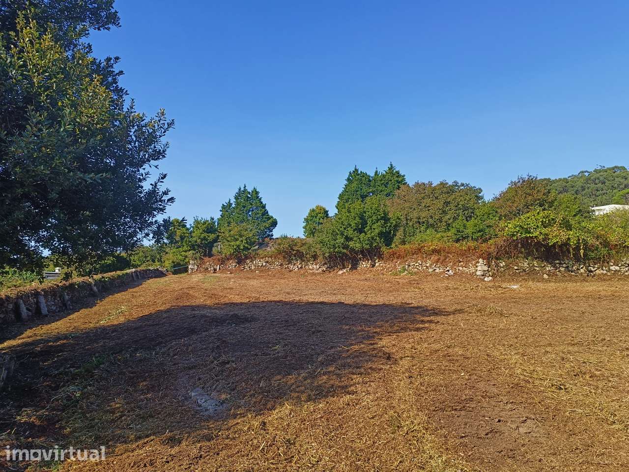 Terreno, Carreço - Grande imagem: 4/10