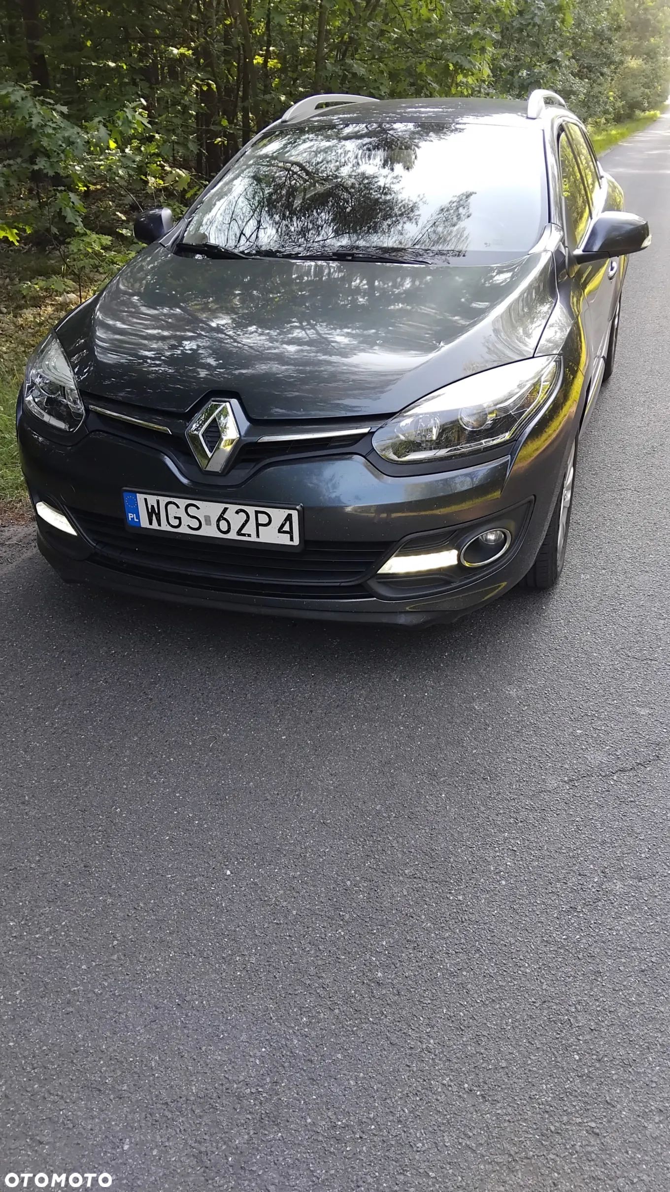 Renault Megane - 1