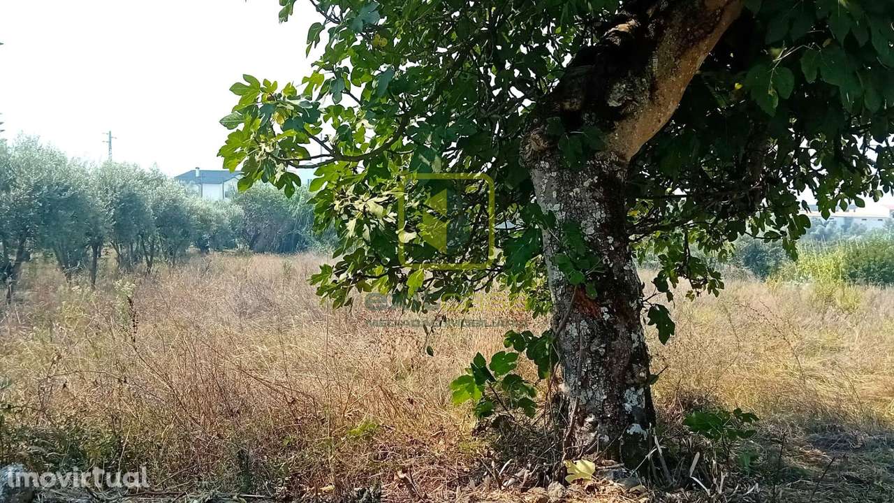 Terreno - Grande imagem: 2/8