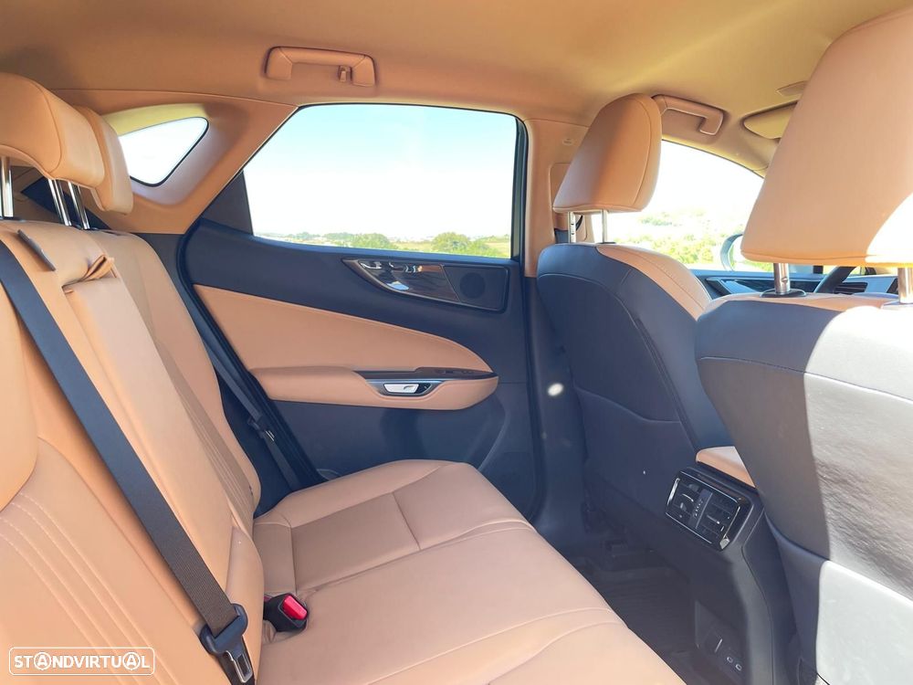 Lexus NX 450h+ - 15