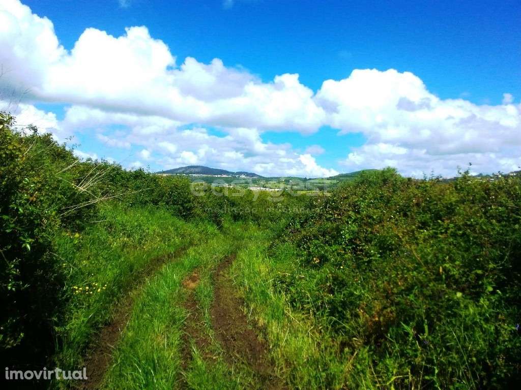 Terreno Rustico em Morelena, a apenas 2,5Km do centro de Pêro Pinheiro - Grande imagem: 5/9