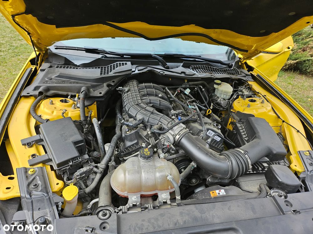 Ford Mustang 3.7 V6 - 13