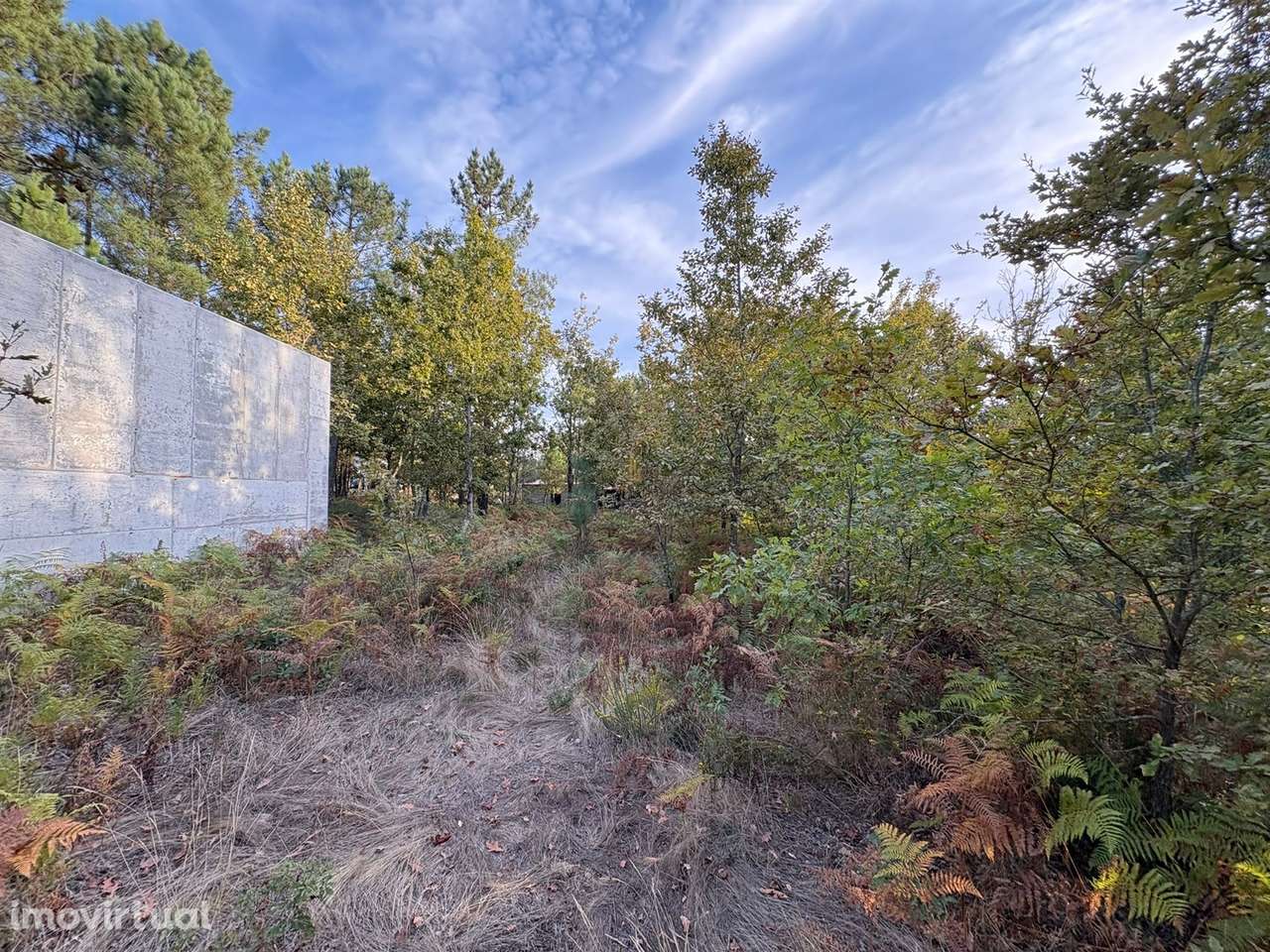 Terreno Para Construção  Venda em Bodiosa,Viseu - Grande imagem: 2/4