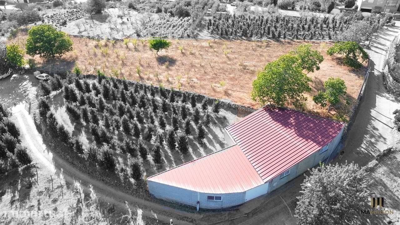 Terreno P/ Construção | 3000m2 | Cimbres - Grande imagem: 2/7