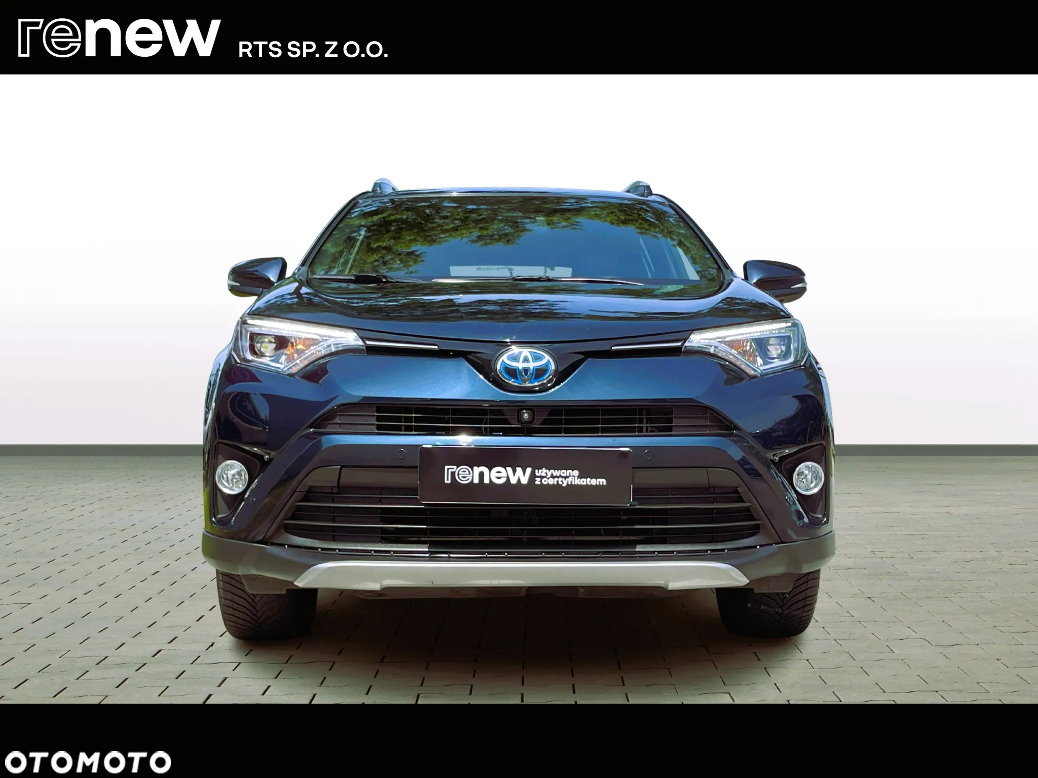 Toyota RAV4 Hybrid Premium 4x2 - 8