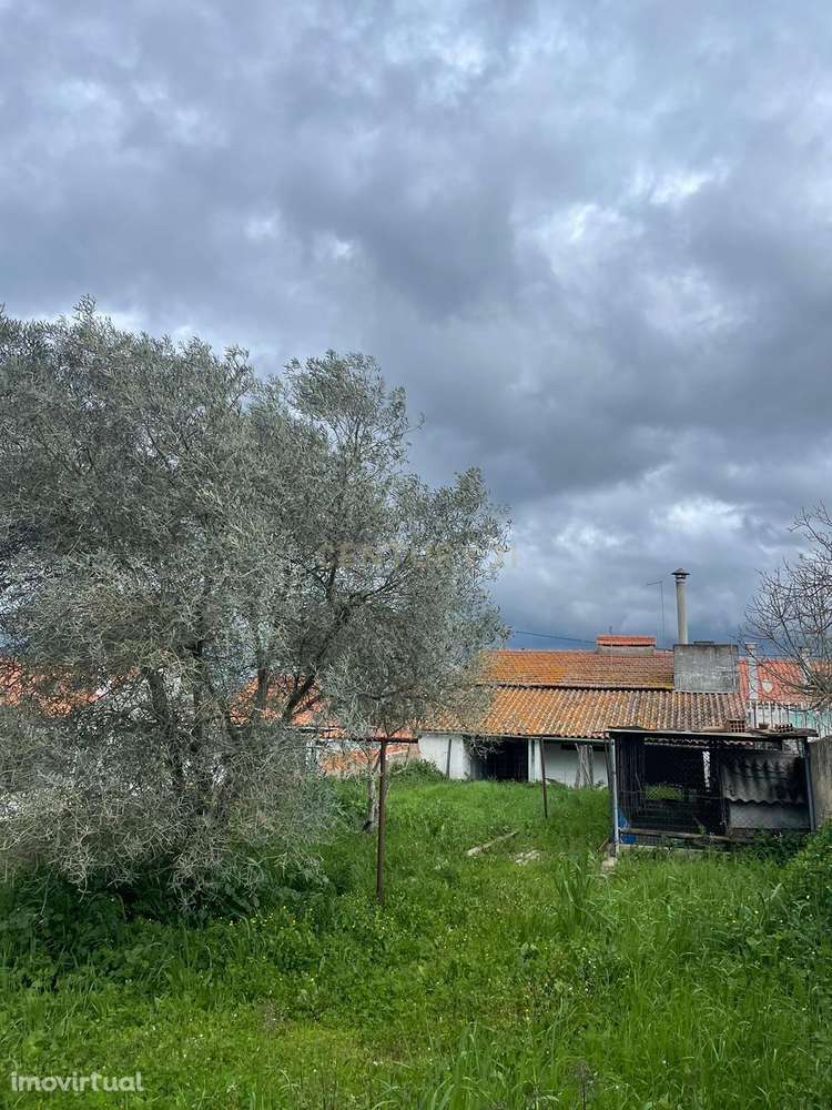 Imóvel localizado no Ciborro - Grande imagem: 5/21