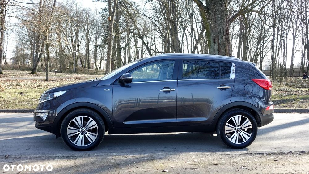 Kia Sportage - 28