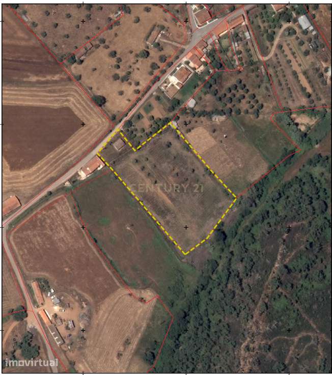 Quinta a 20 km da Costa Vicentina, 8.250m2 de terreno - Grande imagem: 5/24