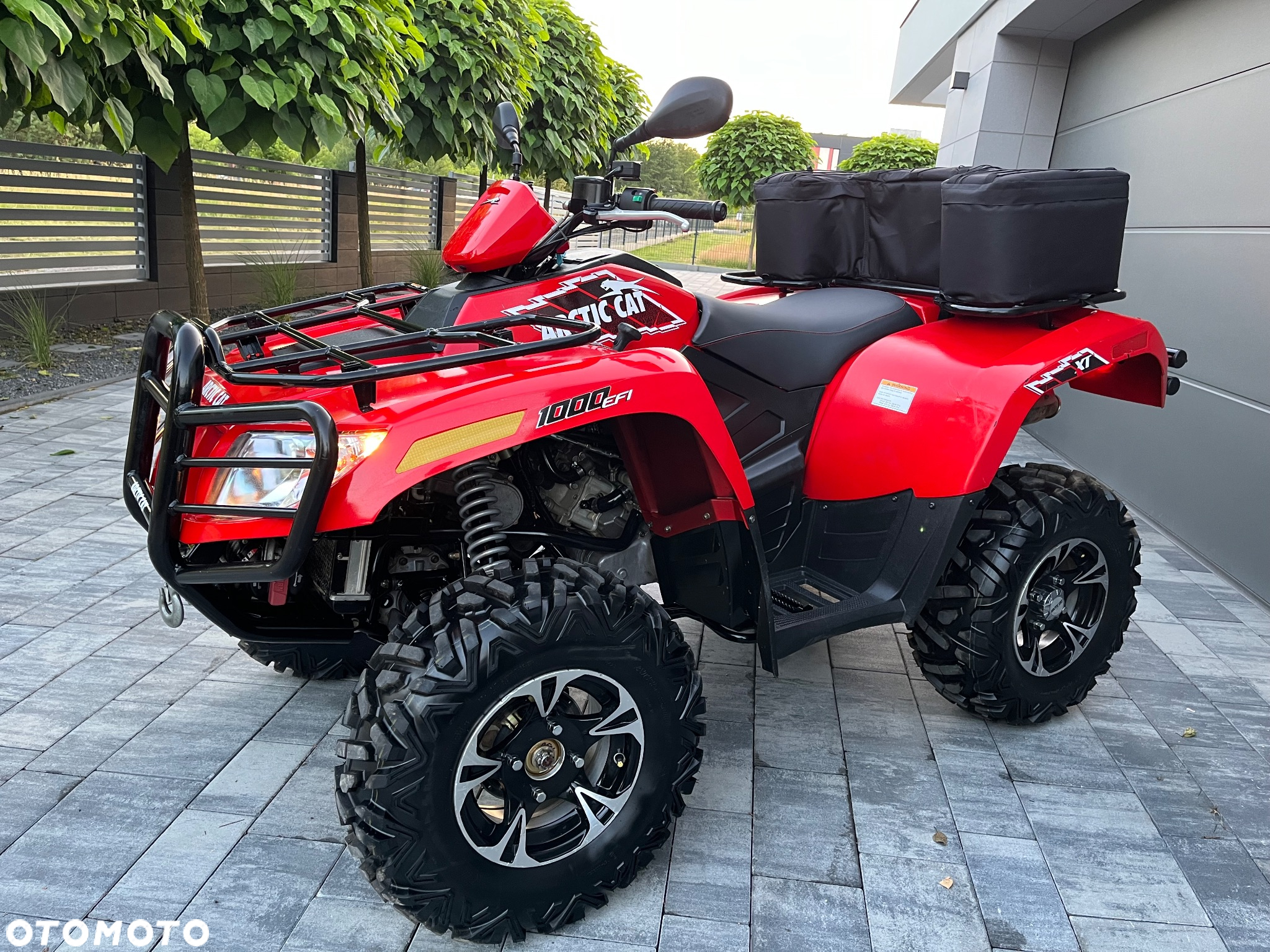 Arctic Cat Inny