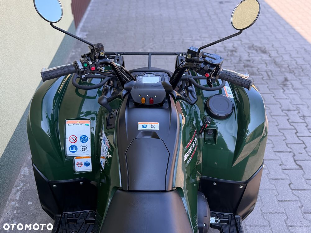Yamaha Grizzly - 19