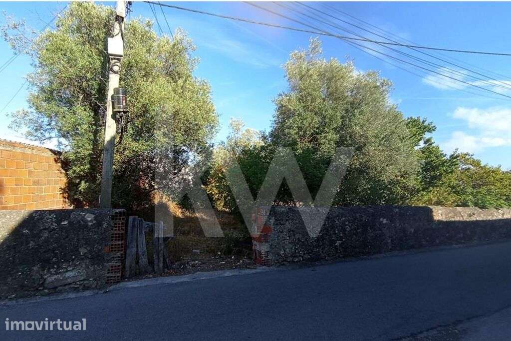 Terreno plano localizado na Gândara a 10Km de Coimbra - Grande imagem: 2/17