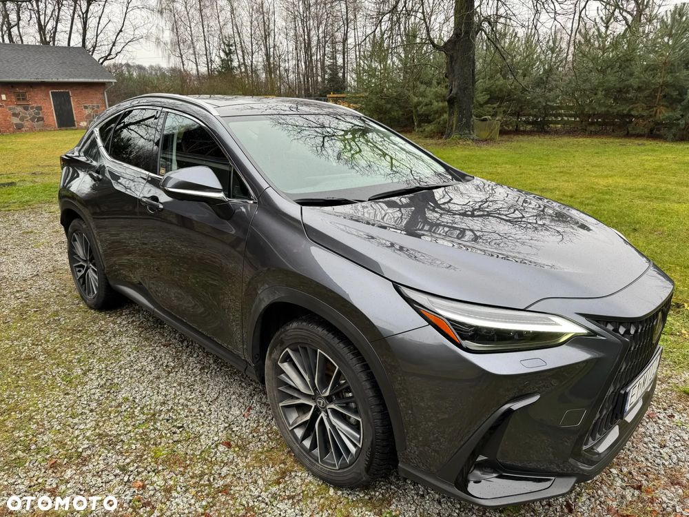 Lexus NX 350h Omotenashi AWD - 1