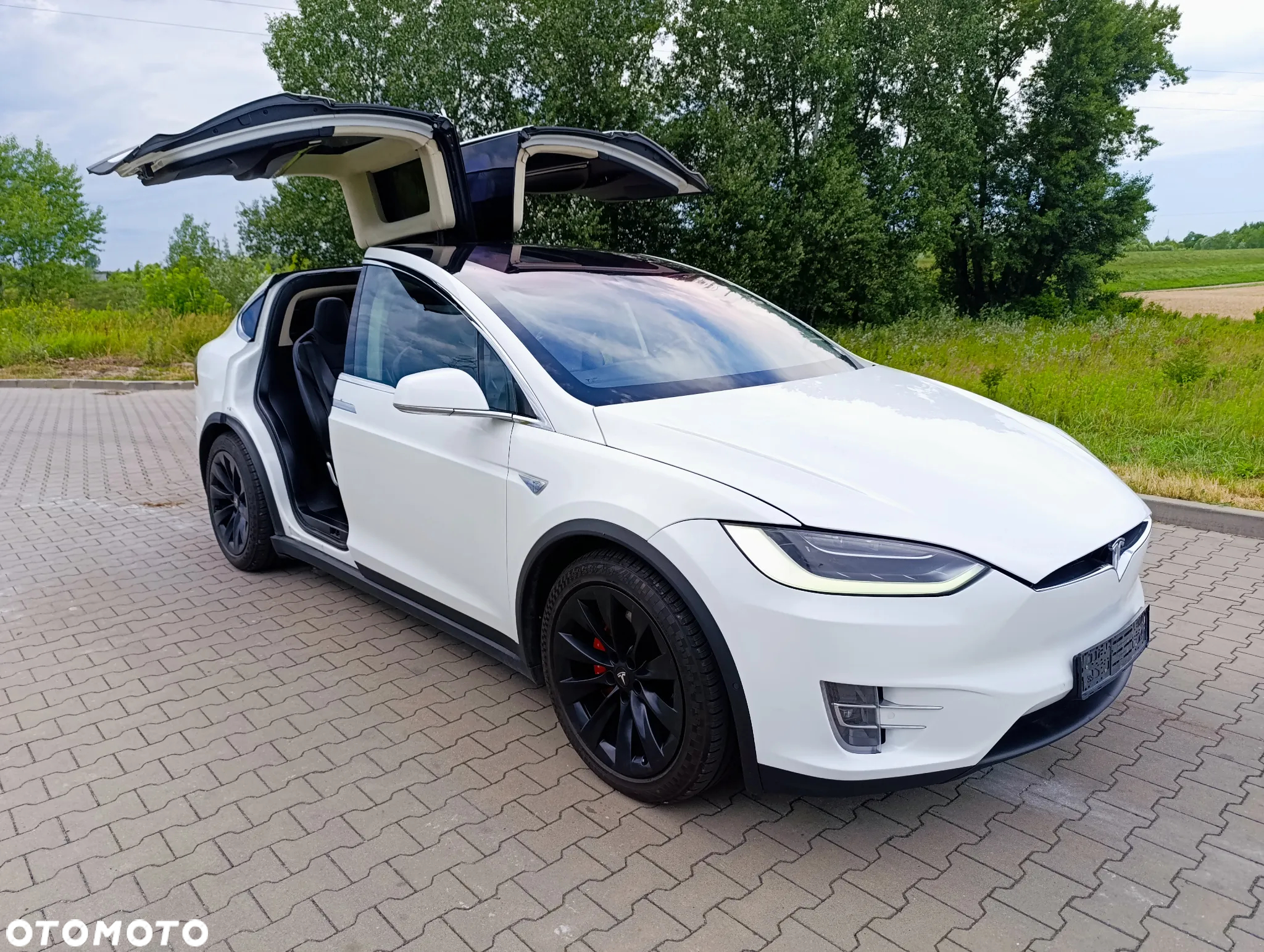 Tesla Model X Performance - 3