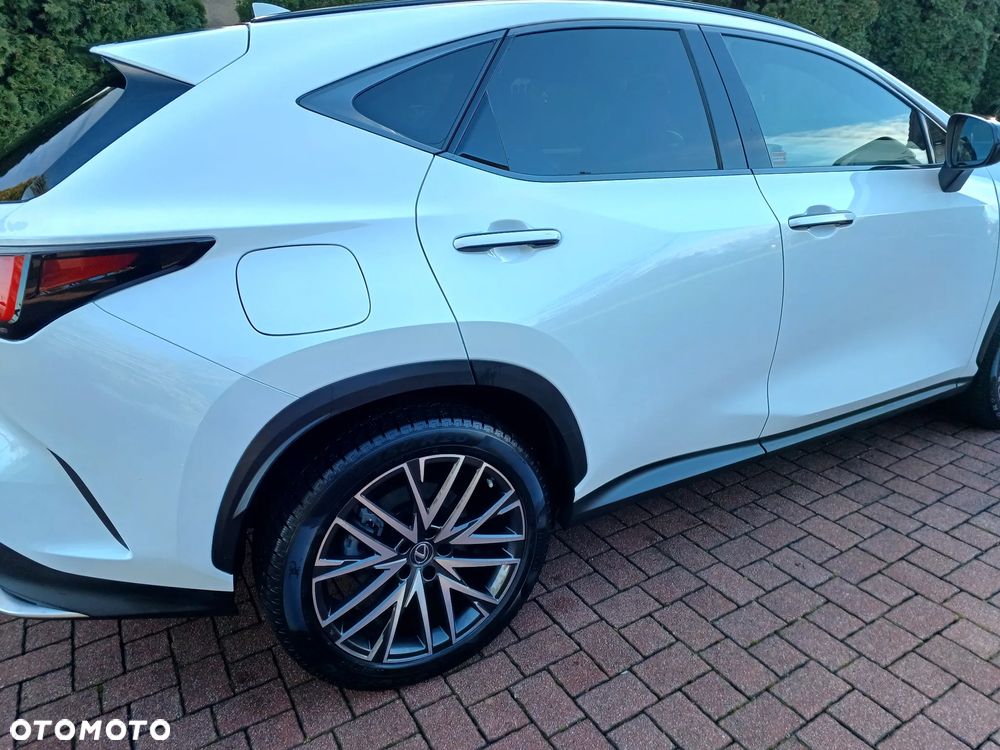 Lexus NX 450h+ Omotenashi AWD - 20