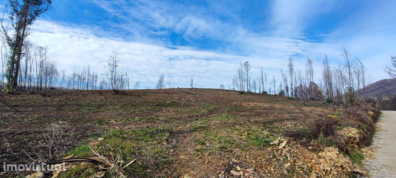 Terreno  Venda em Melres e Medas,Gondomar - Grande imagem: 4/8