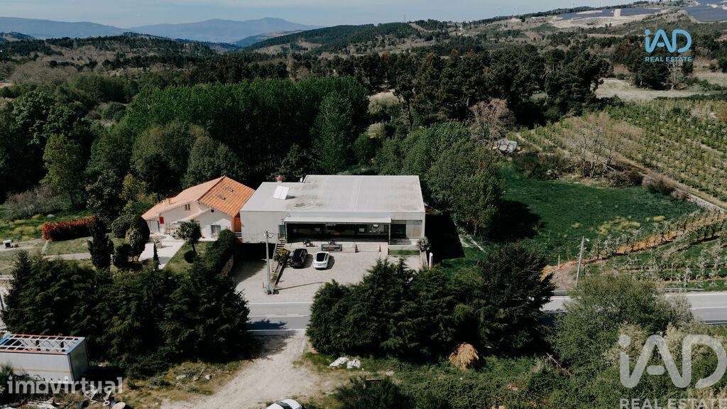 Restaurante T10 em Sever de 1053,00 m2 - Grande imagem: 3/30