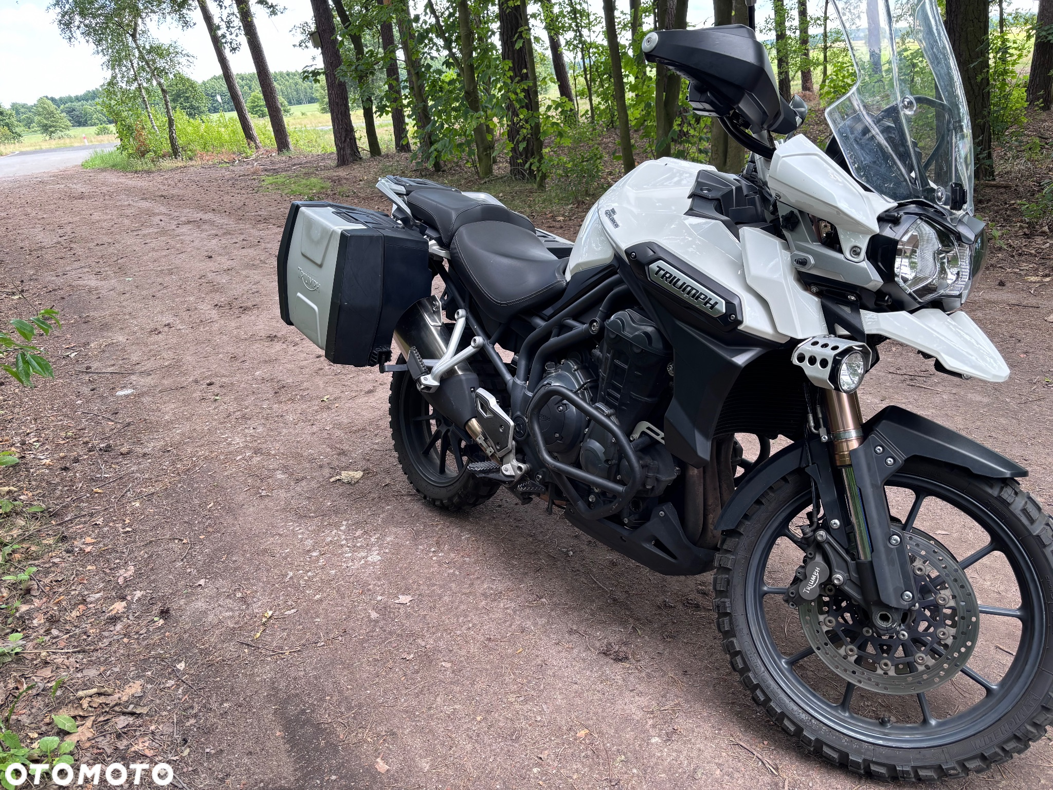 Triumph Tiger - 3