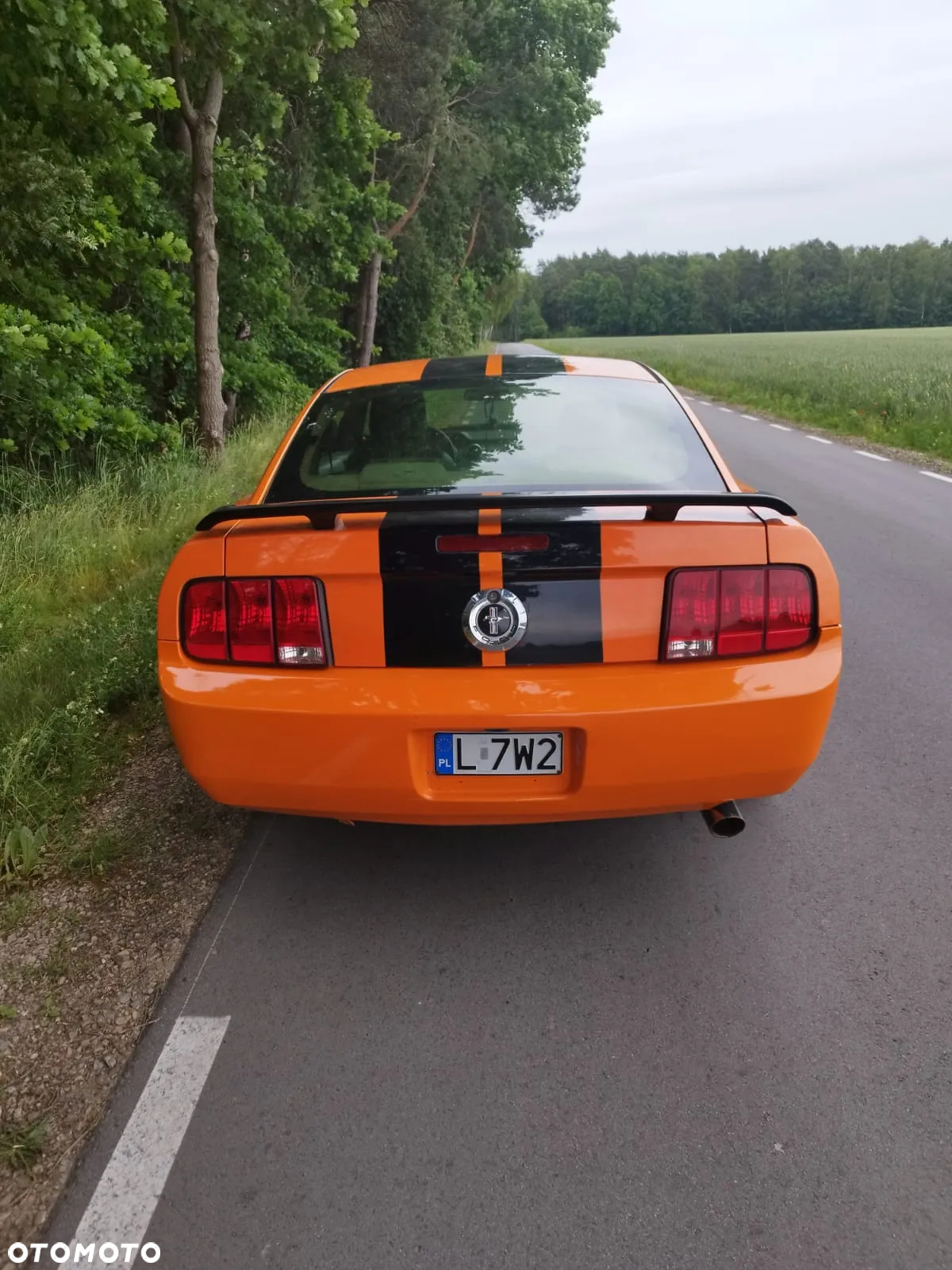 Ford Mustang 4.0 V6 - 5