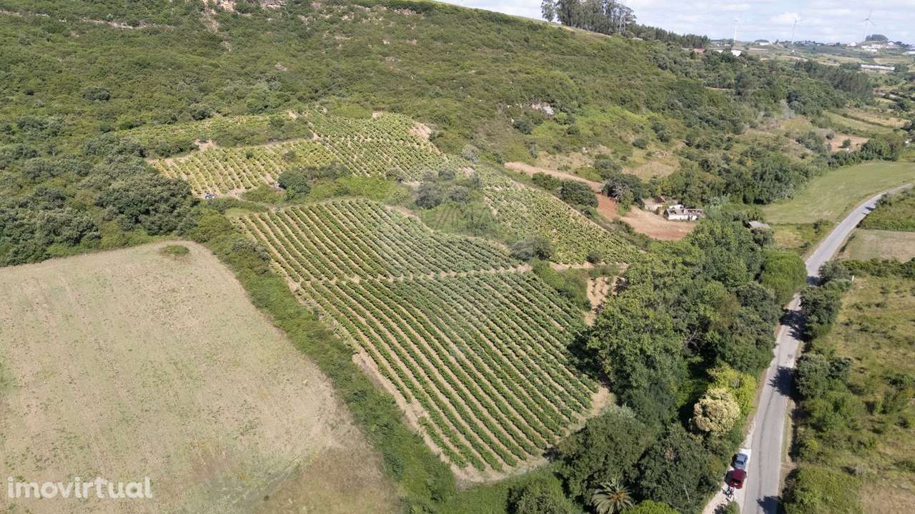 Terreno  para venda - Grande imagem: 3/19