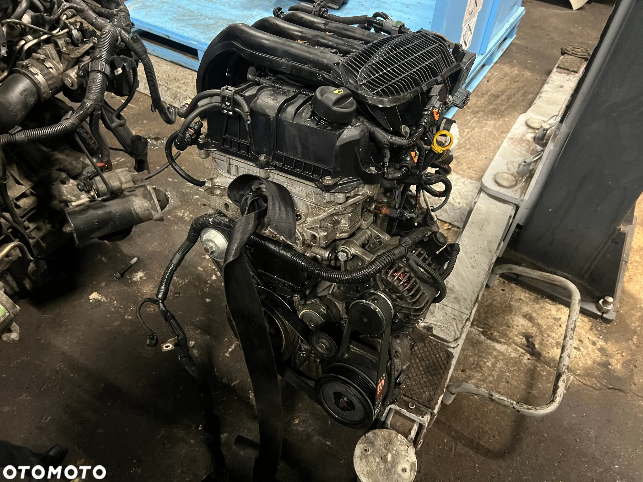 SILNIK NA CZEŚCI GŁOWICA KOLEKTOR CEWKI 1.2 PURE TECH HM01 - 3
