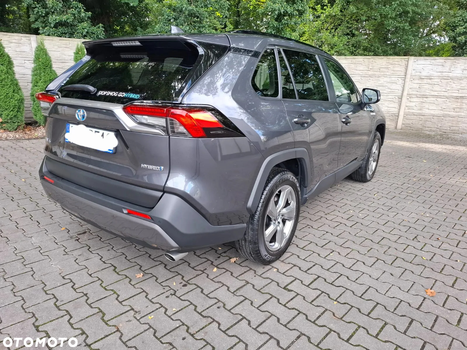 Toyota RAV4 2.5 Hybrid Comfort 4x2 - 7