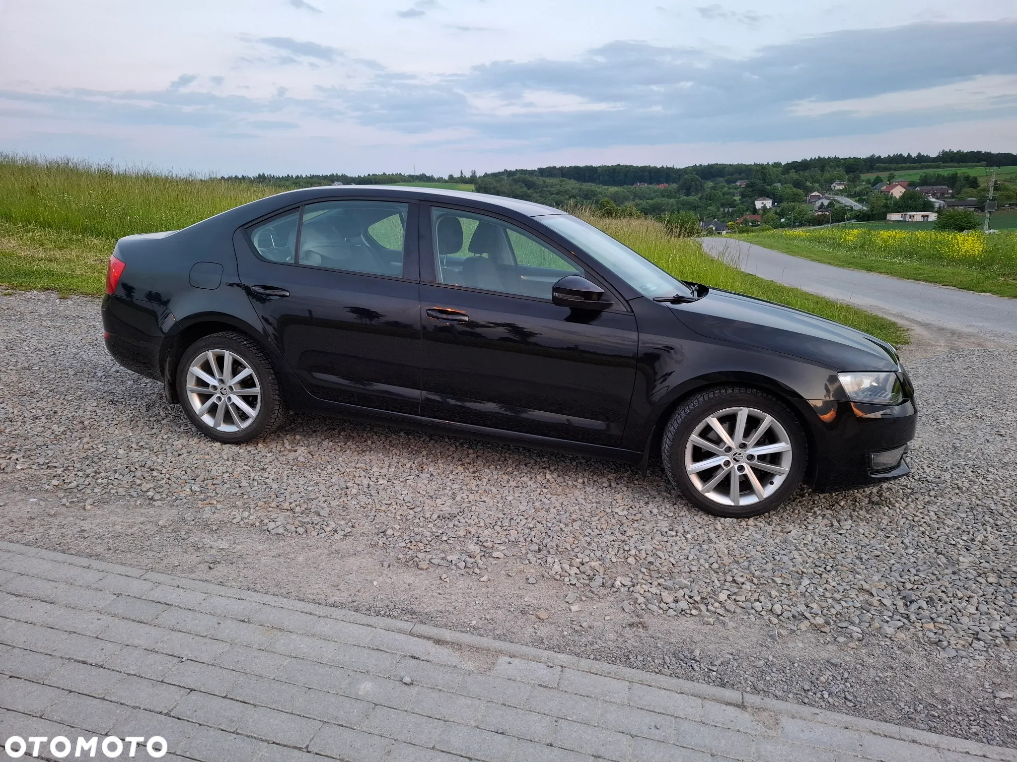Skoda Octavia 2.0 TDI Elegance - 4