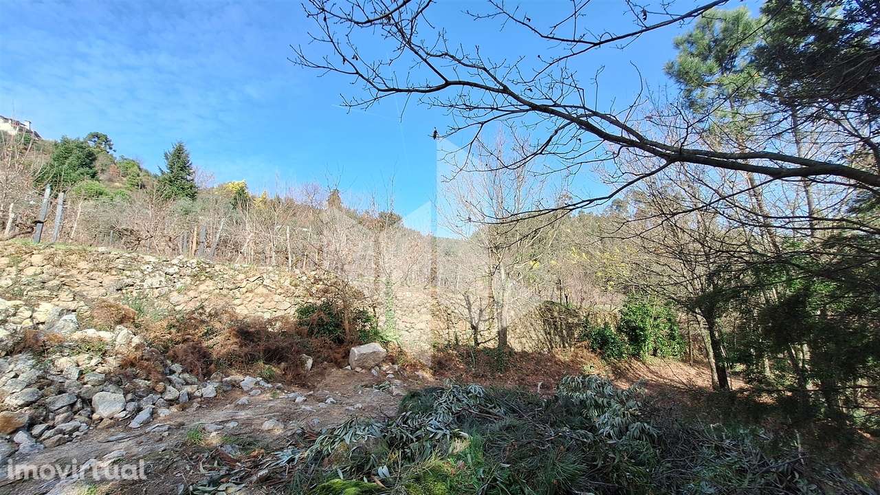 Terreno Rústico  Venda em Santiago de Besteiros,Tondela - Grande imagem: 3/23