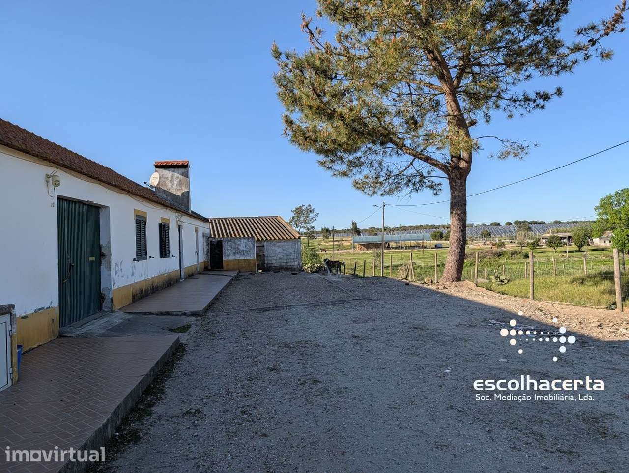 Quinta com Moradia Bifamiliar + 2,5 Hectares em Pegões |... - Grande imagem: 3/12