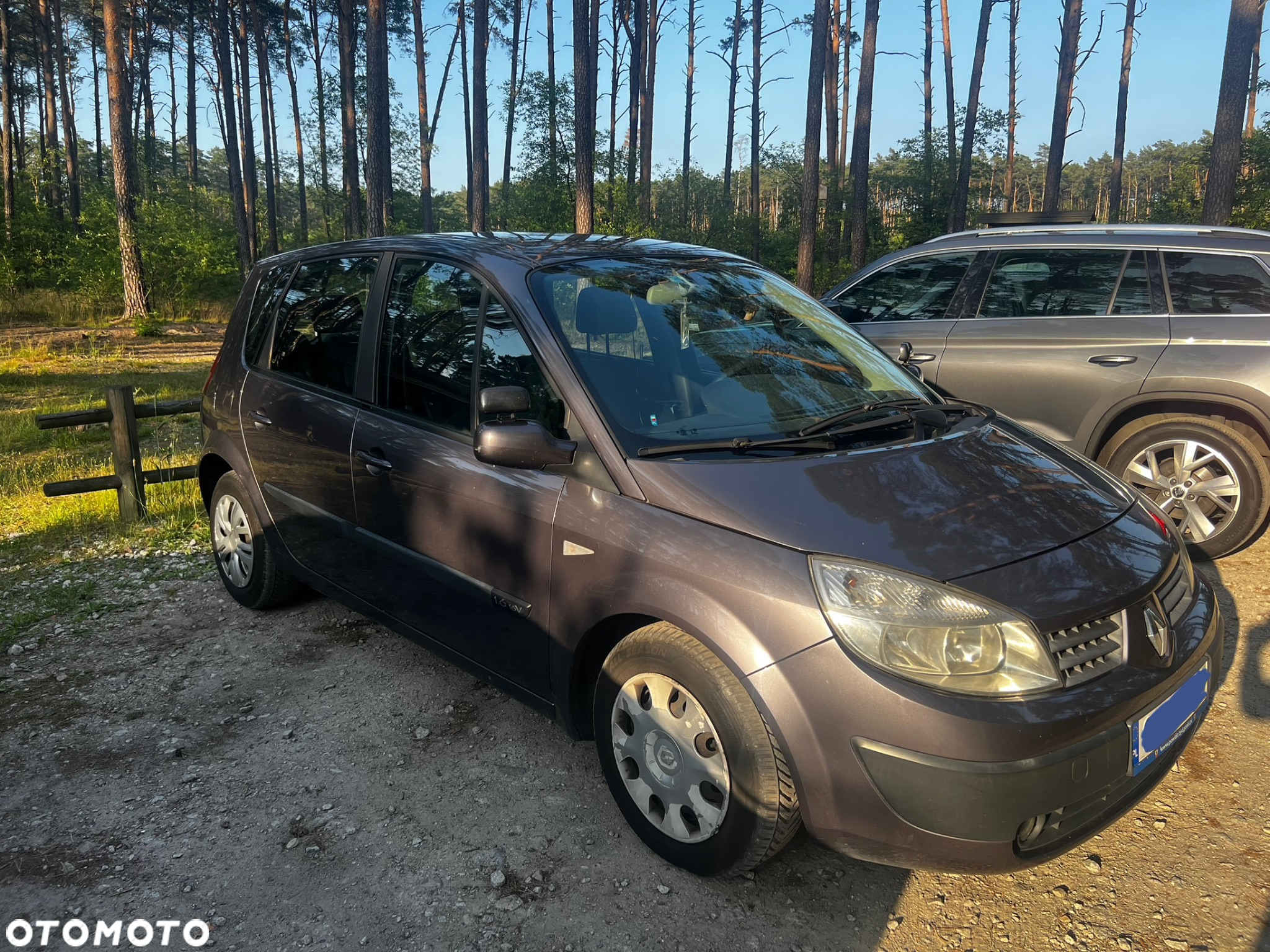 Renault Scenic 1.6 16V Confort Authentique - 8