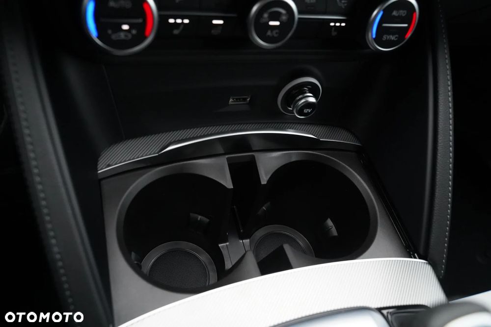 Alfa Romeo Stelvio 2.0 Turbo Veloce Q4 - 20