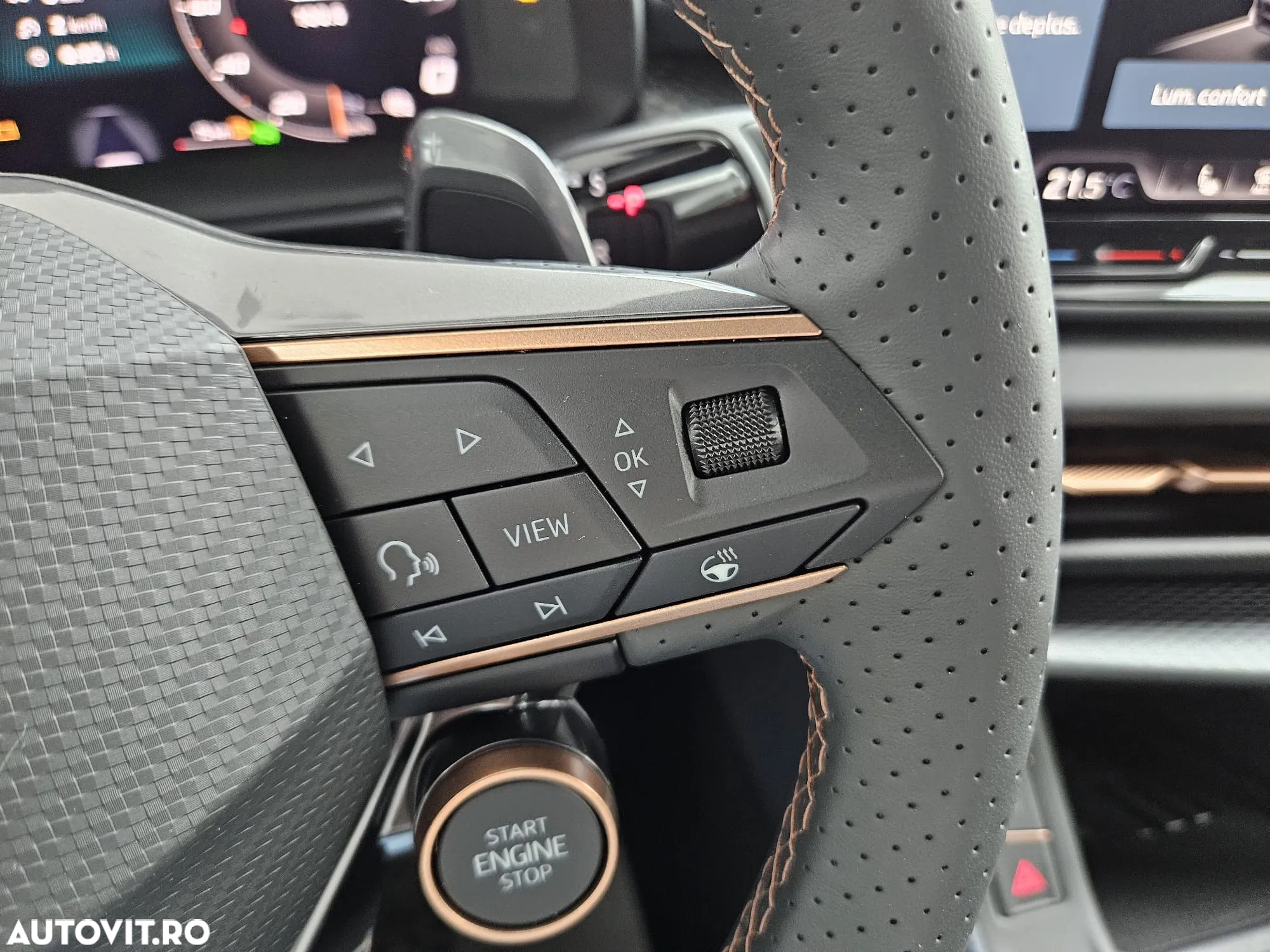 Cupra Terramar - 12