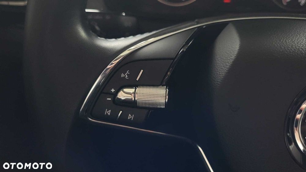 Skoda Kamiq 1.0 TSI Ambition DSG - 19