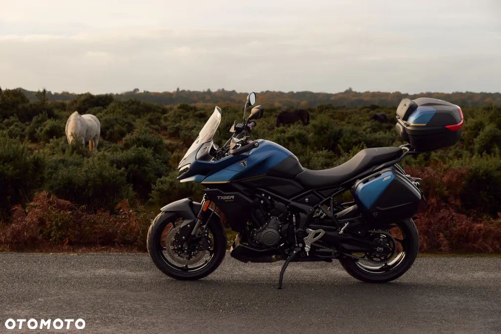 Triumph Tiger - 5