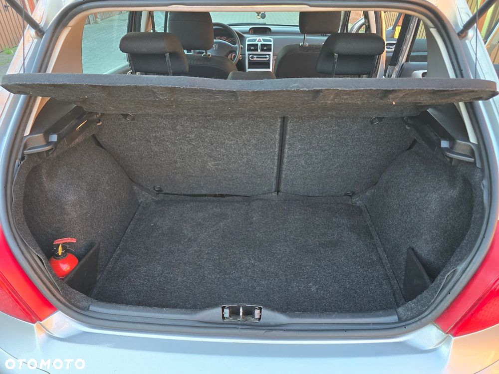 Peugeot 307 1.6 Premium - 19