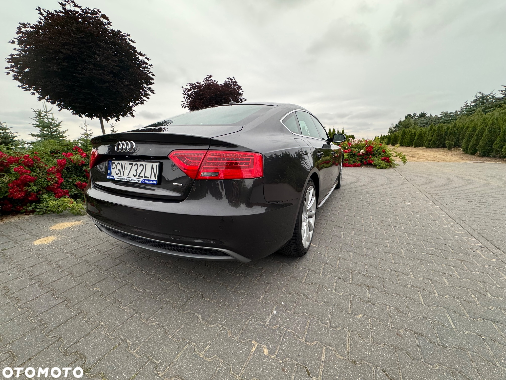 Audi A5 2.0 TDI Sportback quattro DPF S tronic - 11