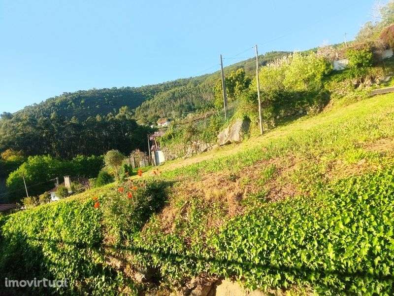 Terreno para construção em Ponte de Lima - Grande imagem: 5/9