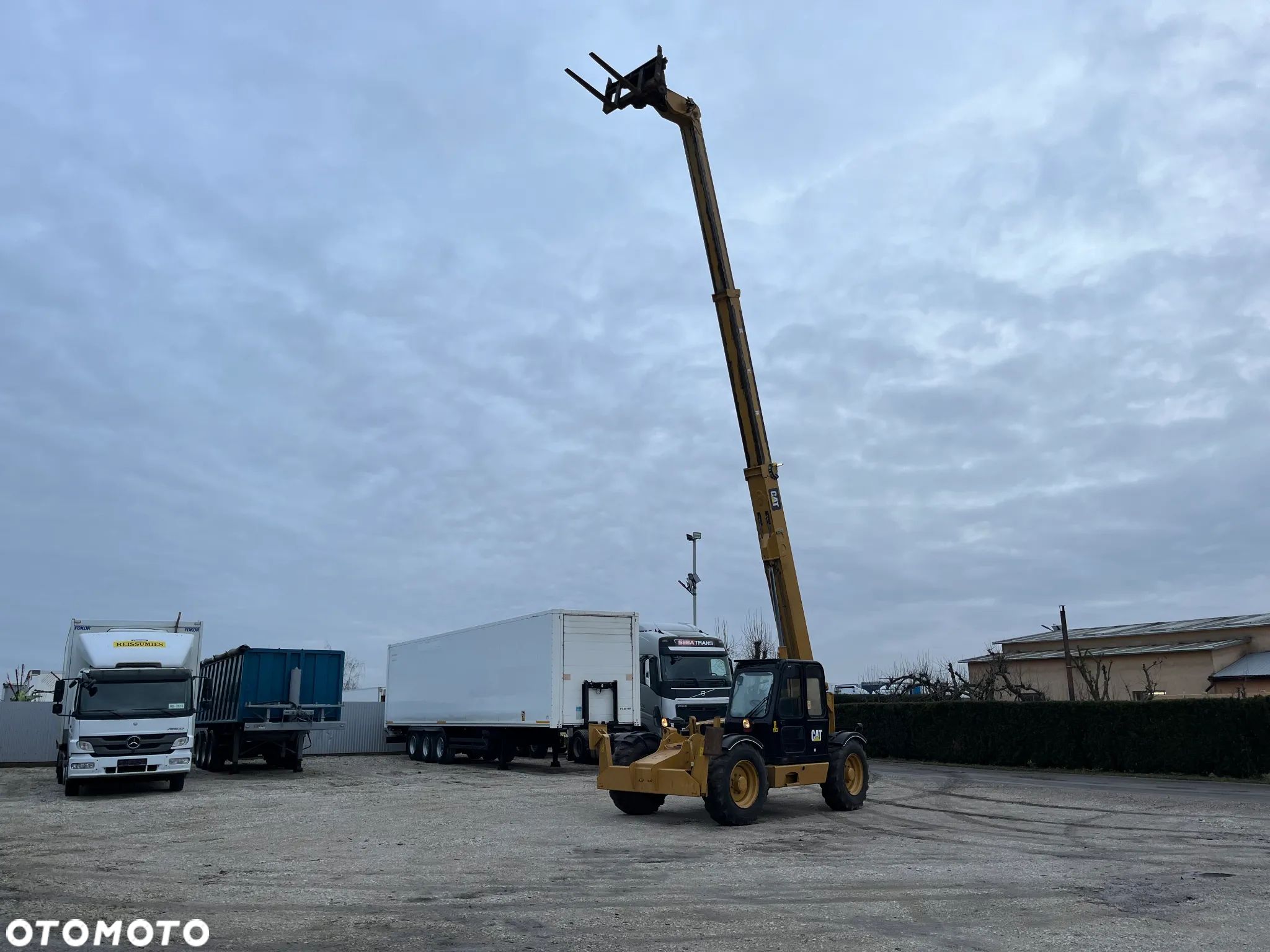 Caterpillar - 1