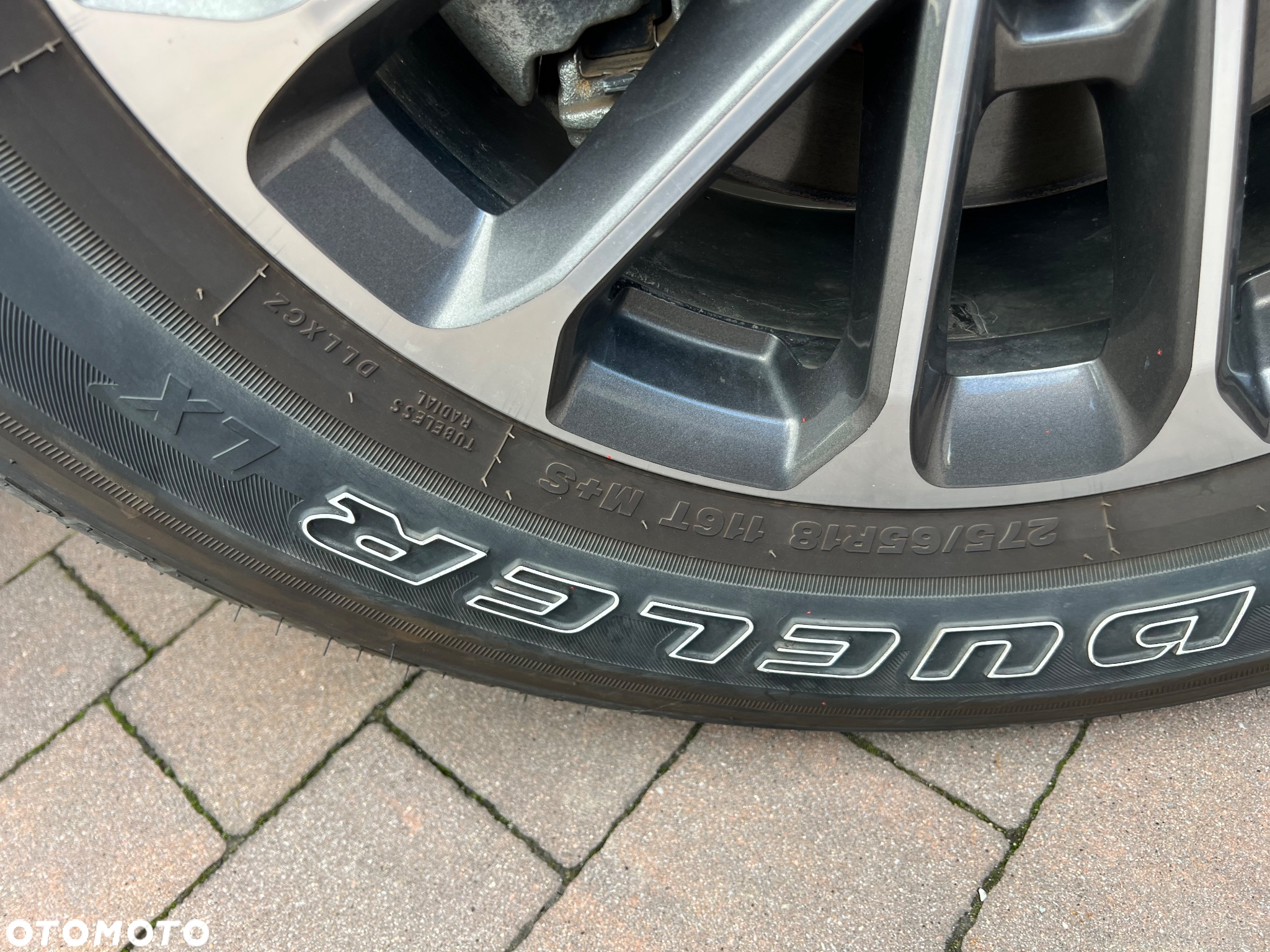 Ford F150 - 19