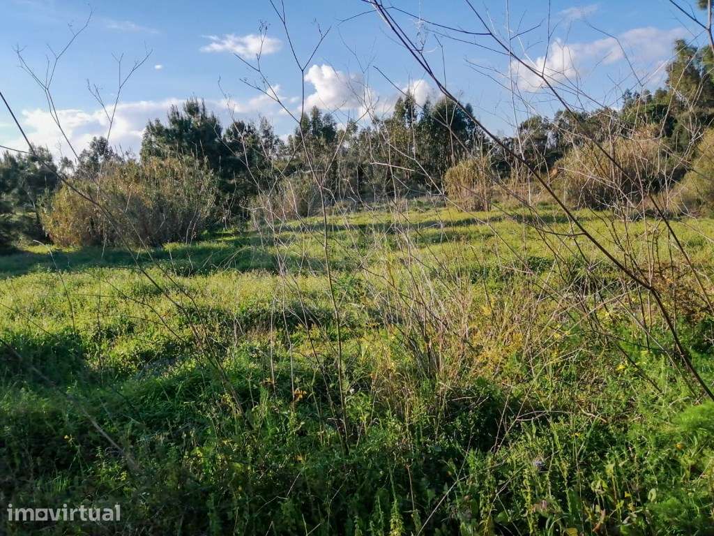 Terreno Rustico com 5.000m² - Grande imagem: 5/6