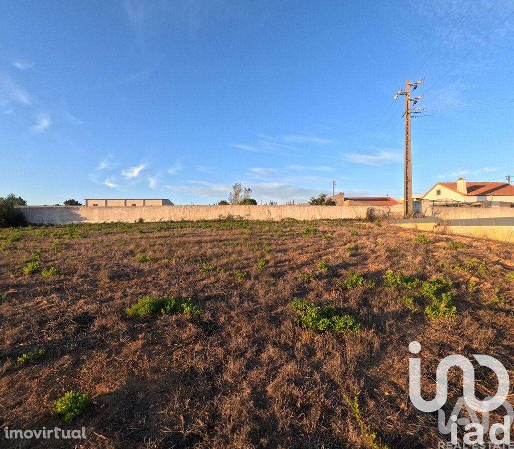 Terreno em Mafra - Grande imagem: 2/15